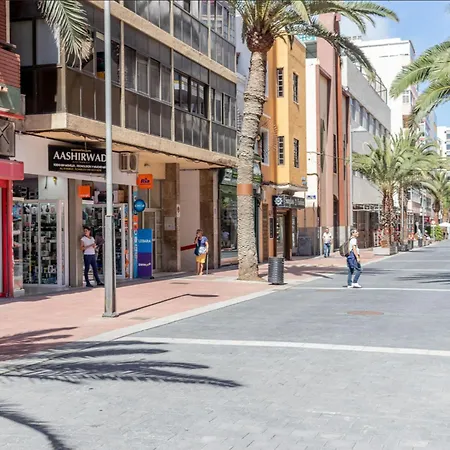 Live Palmas Morote 라스팔마스