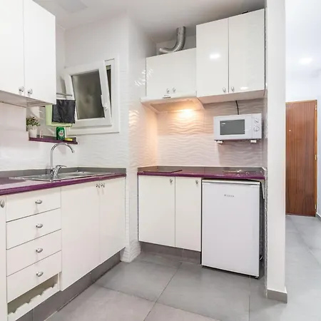 Live Palmas Morote * 라스팔마스