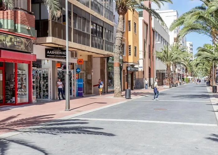 Live Palmas Morote 라스팔마스