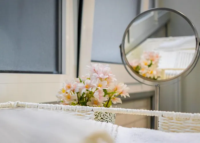 Live Palmas Morote 라스팔마스